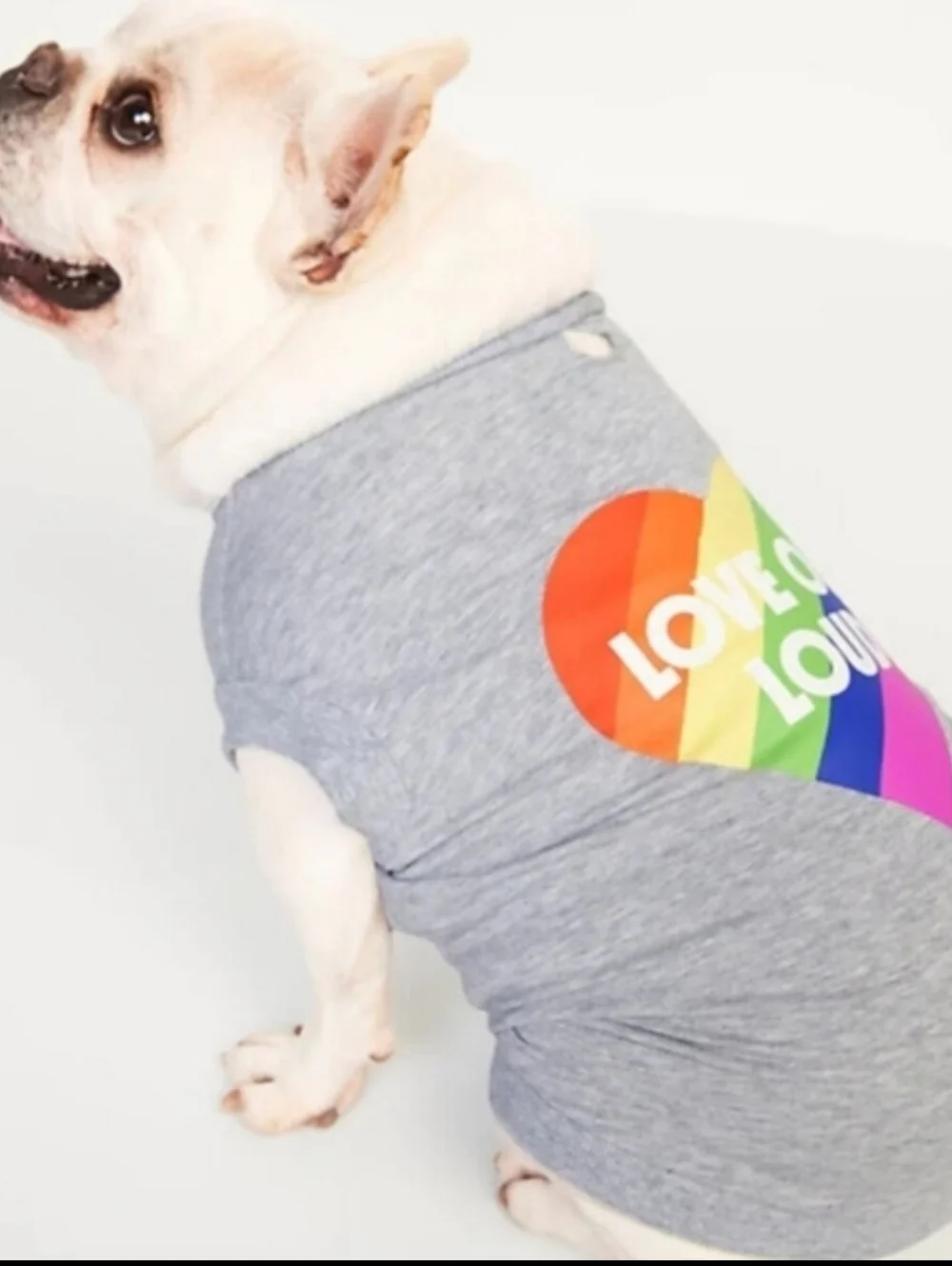 Old Navy Pet Love Out Loud Gray Rainbow Dog Animal Shirt Large Colorful